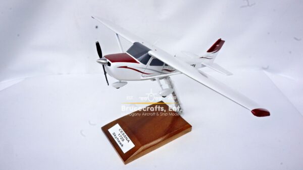 Cessna 172 Skyhawk OE-DTA - Image 13